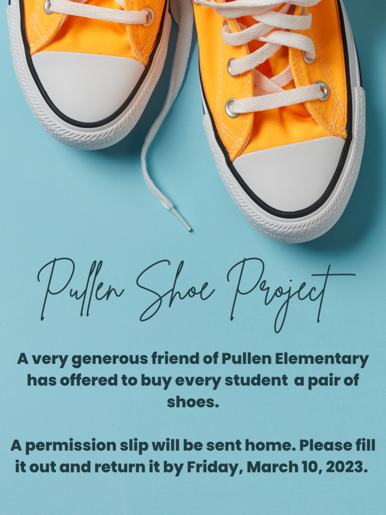 Shoe Project